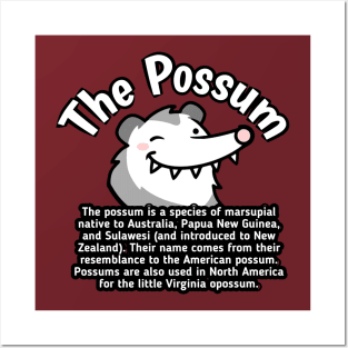 The Possum Posters and Art